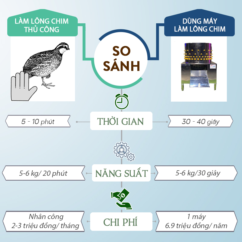 máy vặt lông chim 